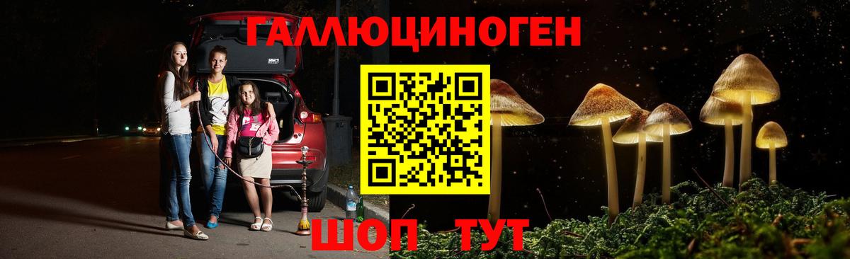 Псилоцибиновые грибы GOLDEN TEACHER  Псилоцибиновые грибы ЛСД  наркота  Татарск  Вход с VPN 